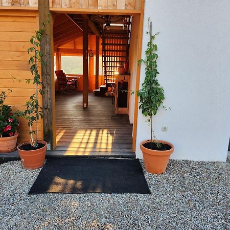 Apartament U Ewki Rdzawka 外观 照片