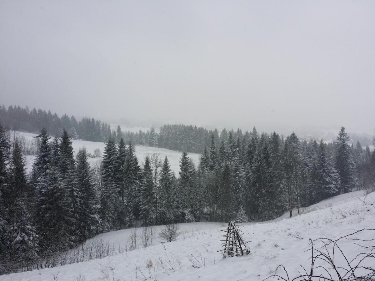 Apartament U Ewki Rdzawka 外观 照片