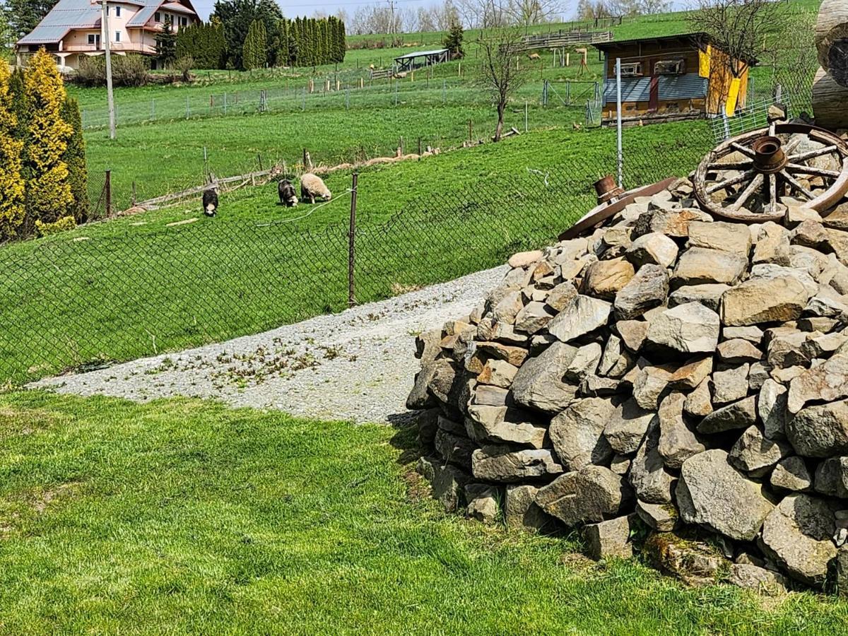 Apartament U Ewki Rdzawka 外观 照片